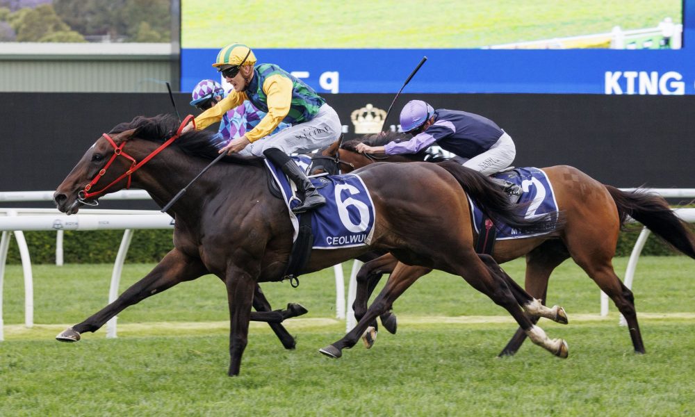 揭示的不僅 揭示的不僅